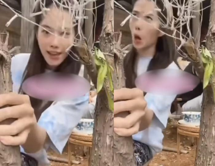 Nam Em một lần nữa khiến công chúng sợ hãi khi chia sẻ đoạn clip ghi lại khoảnh khắc người đẹp Tiền Giang ngồi bên cạnh một gốc cây. Cô rủ mọi người chơi 