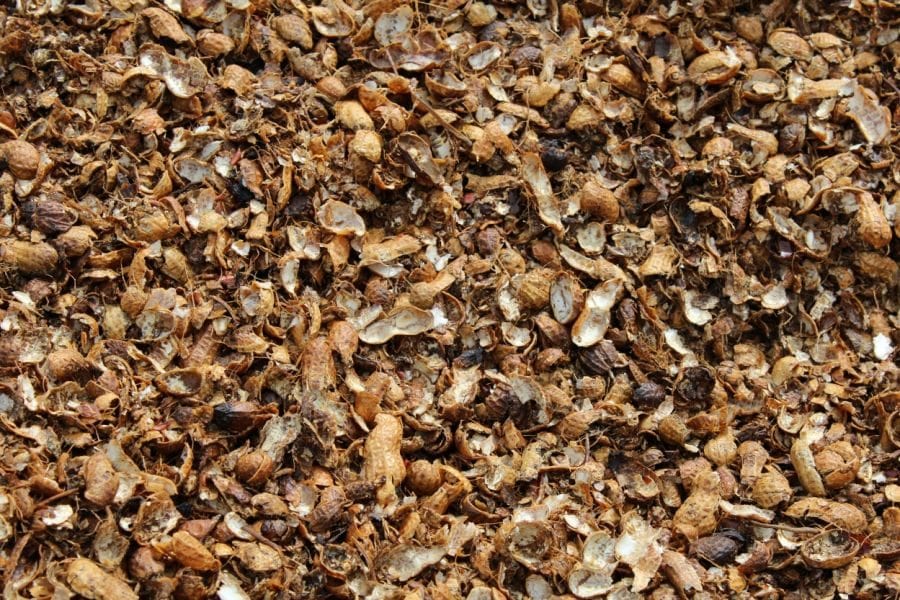 Vỏ đậu phộng có chứa lượng lớn chất xơ, rất phù hợp để bổ sung vào khẩu phần ăn của các loại gia súc, gia cầm