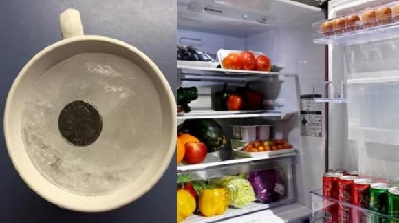 Nếu đồng xu vẫn nổi trên bề mặt cốc nước: Tủ lạnh hoạt động bình thường, không có sự cố cúp hay ngắt điện đột ngột và thực phẩm vẫn có thể sử dụng được.    