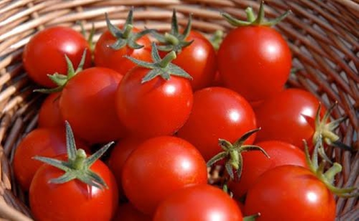 Cà chua nên ăn cà chua nấu chín sẽ tốt hơn