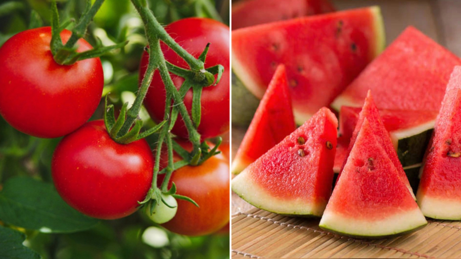 Cà chua và dưa hấu đều chứa nhiều lycopene có tác dụng bảo vệ da.