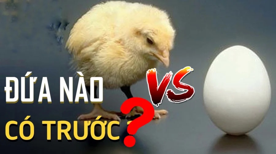 Giải ᵭáp thắc mắc con gà hay quả trứng có trước?