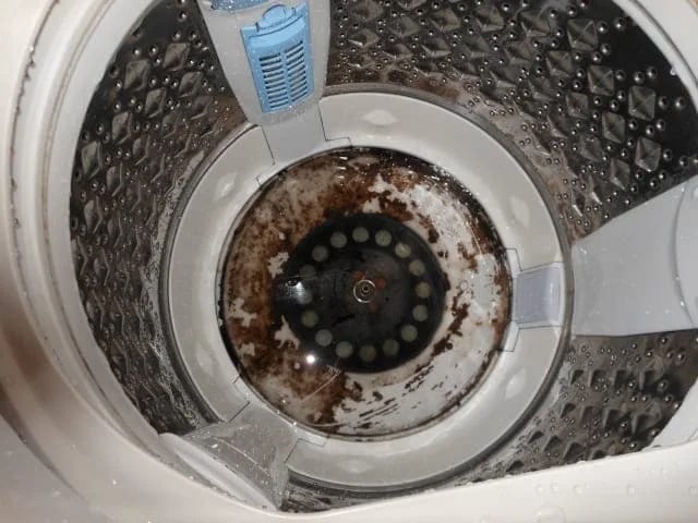 Sau một thời gian dài sử dụng, bạn sẽ thấy máy giặt tích tụ nhiều bụi bẩn và có mùi khó chịu.