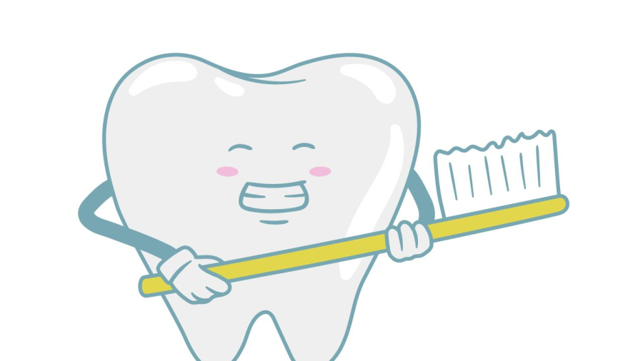 Làm ướt bàn chải đánh răng rất quan trọng vì chúng có liên quan tới việc phủ đều kem đánh răng