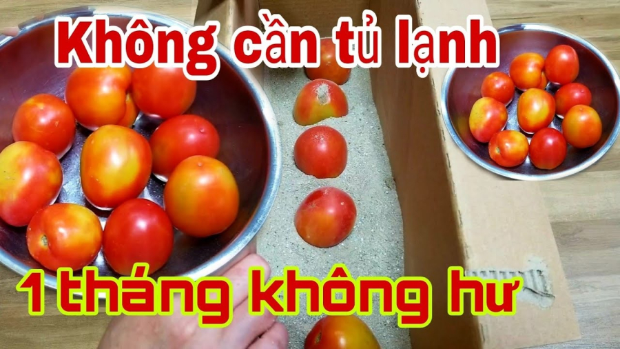 Nhiều người thường gặp khó khăn trong việc bảo quản cà chua sao cho chúng không nhanh chóng hỏng hoặc mất đi hương vị.