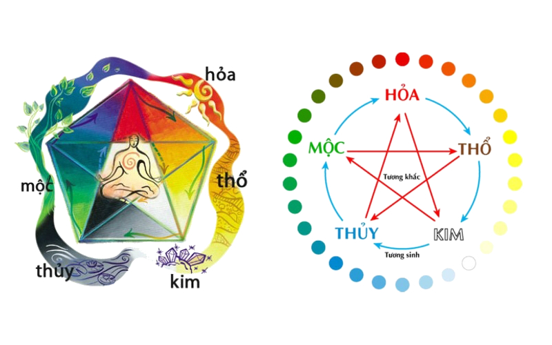 Mệnh Mộc tương sinh, tương khắc trong ngũ Hành