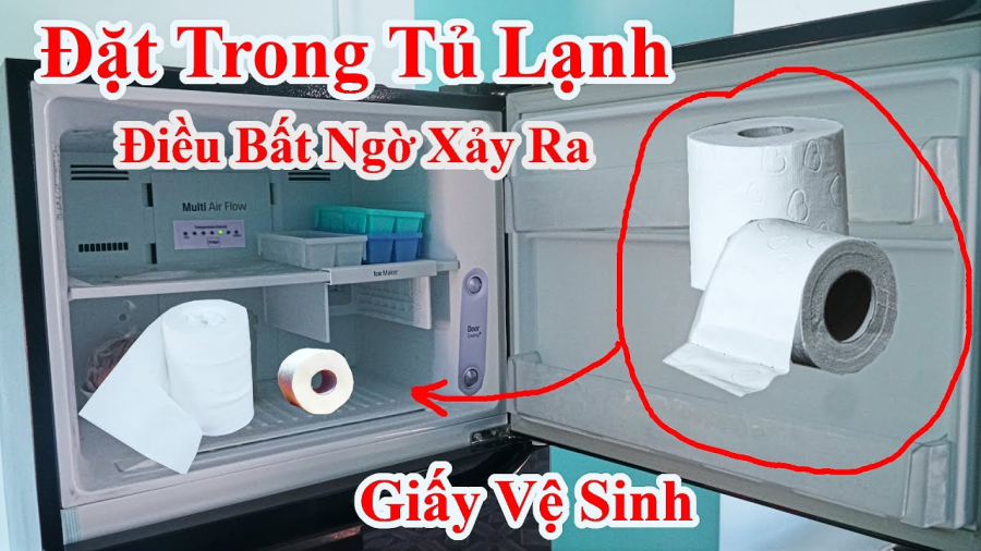 Đặt 1 cuộn giấy vệ sinh vào tủ lạnh