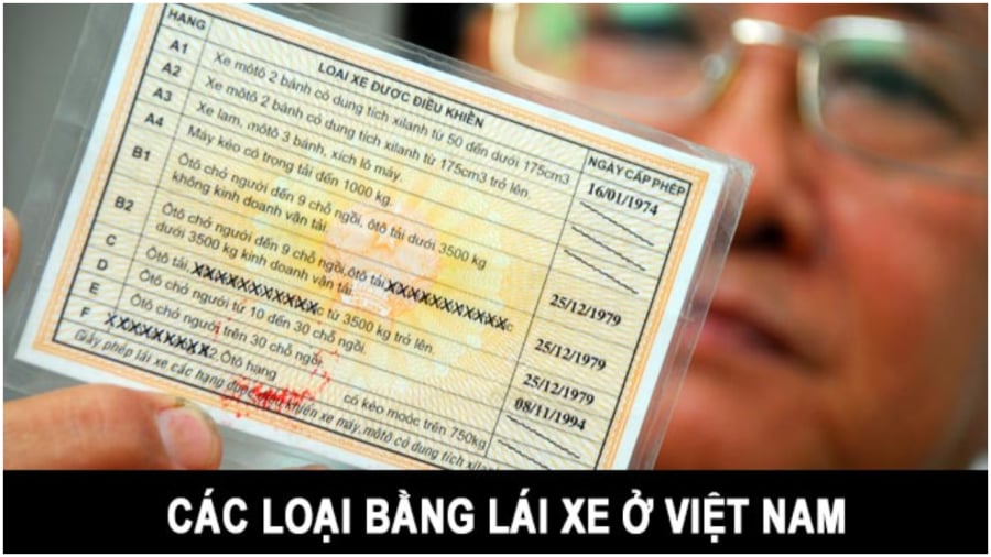 Trường hợp nào cần thi lại bằng lái xe