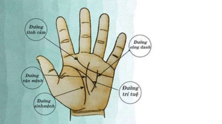 Thông thường một bàn tay có rất nhiều vân tay rõ ràng nên người nào mà chỉ có 1 vân tay vắt ngang thì chứng tỏ rất đặc biệt