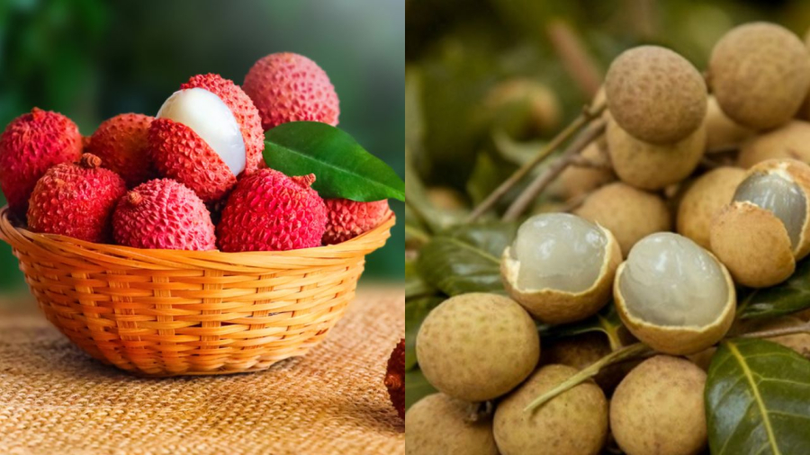 Quả vải và quả nhãn là hai loại trái cây đặc trưng của mùa hè. Tuy nhiên, chúng có chứa nhiều đường, có khả năng sinh nhiệt cao nên gây ra tình trạng nóng trong người nếu ăn nhiều.