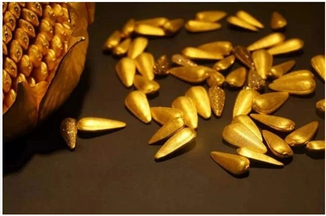 Kim quả tử chính là những miếng vàng vụn, nó có hình dạng như hạt dưa.