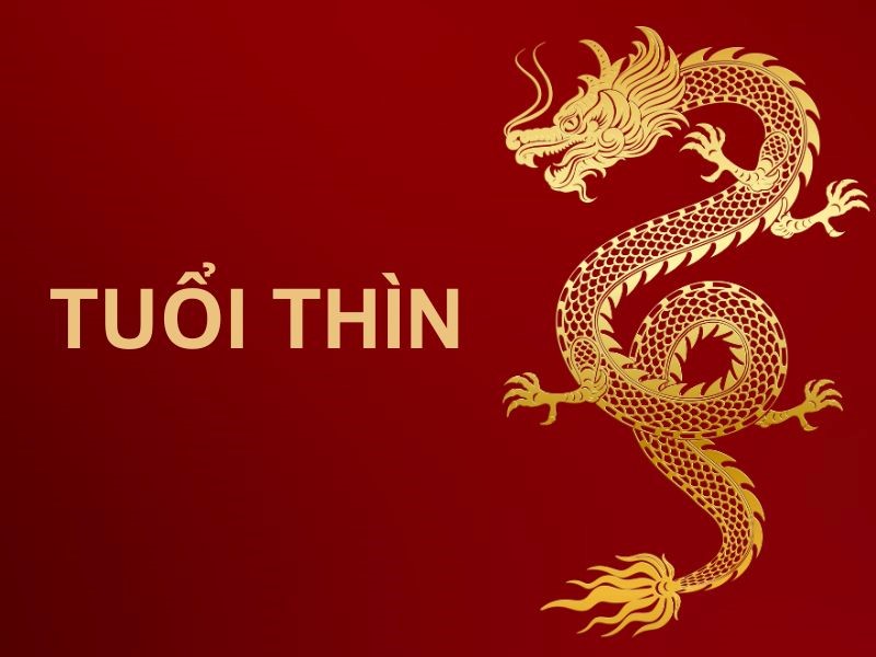 Tuổi Thìn là người giỏi nắm bắt mối quan hệ, họ sống cân bằng