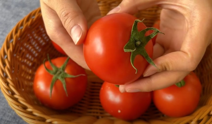 Khi chọn cà chua, hãy nhìn vào phần cuống quả.