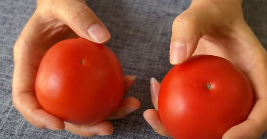 Khi chọn cà chua, bạn nên cầm hai quả có kích thích thước tương đương ở hai bên tay để xem quả nào nặng hơn, chắc tay hơn.