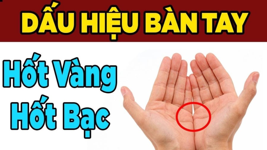 Bàn tay có dấu hiệu này, bạn sẽ phú quý giàu sang cả đời