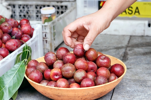 Người ta sẽ chon quả mận còn cuống tươi hoặc có lá còn xanh. Bên ngoài quả mận phủ một lớp phấn trắng, quả căng bóng, không sứt sẹo.    