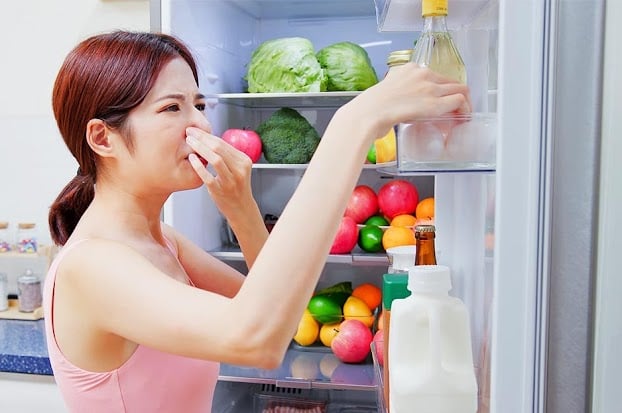 Tủ lạnh dễ có mùi hôi khó chịu khi đựng nhiều thực phẩm có mùi
