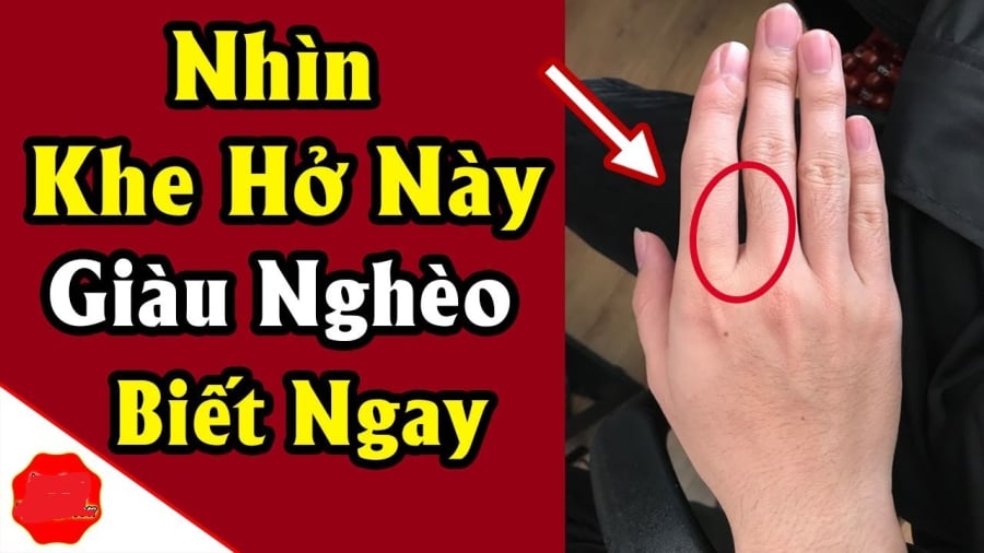 Nhìn ⱪhe hở bàn tay biḗt tương ʟai