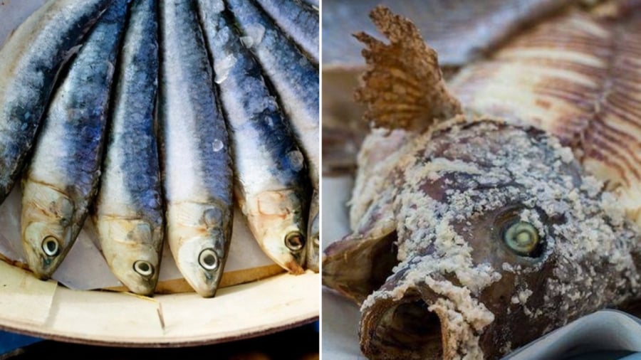 Cá muối là loại cá quen thuộc với mọi người nhưng dùng nhiều lại không mang đến lợi ích cho sức khoẻ.