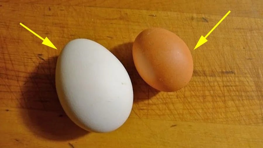 Vḕ mặt sức ⱪhỏe, các chuyên gia nhận ᵭịnh trứng nȃu và trứng trắng ⱪhȏng có sự ⱪhác biệt.