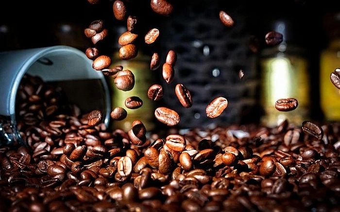 Giá cà phê tại Tây Nguyên rất phong phú, dao động từ vài trăm nghìn đến vài triệu đồng một ký, tùy thuộc vào loại