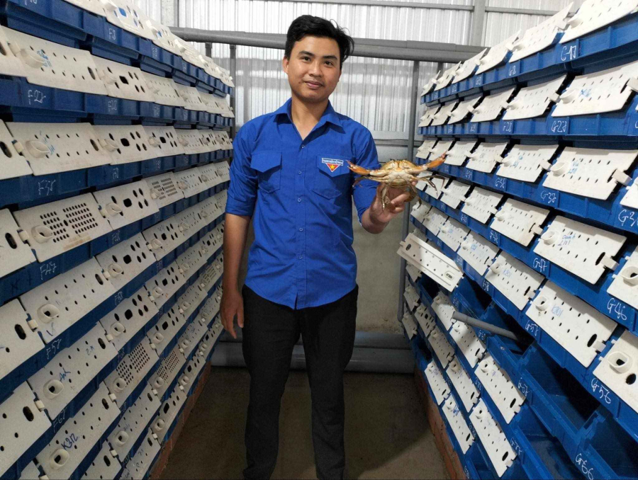   Anh Trần Minh Nhật thu lãi hơn 30 triệu đồng/tháng từ mô hình nuôi cua biển trong hộp nhựa. Ảnh: báo Thanh Niên.