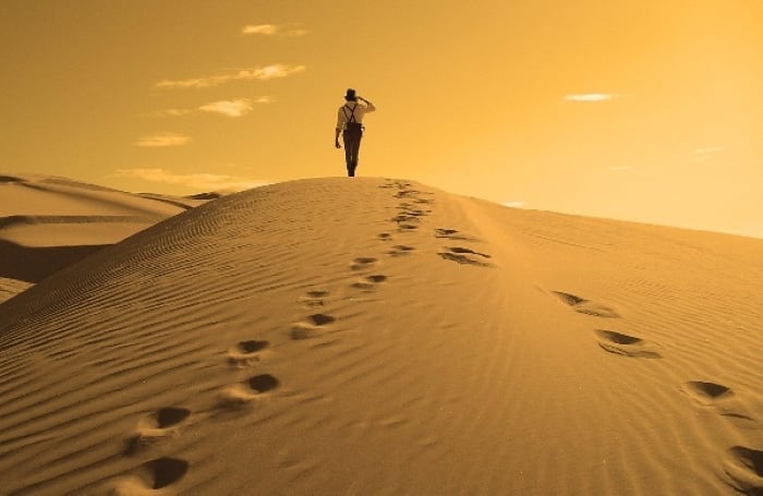 Mơ thấy mình đi lạc trong sa mạc cho thấy bạn đang rơi vào trạng thái bị cô lập trong công việc hoặc trong cuộc sống.