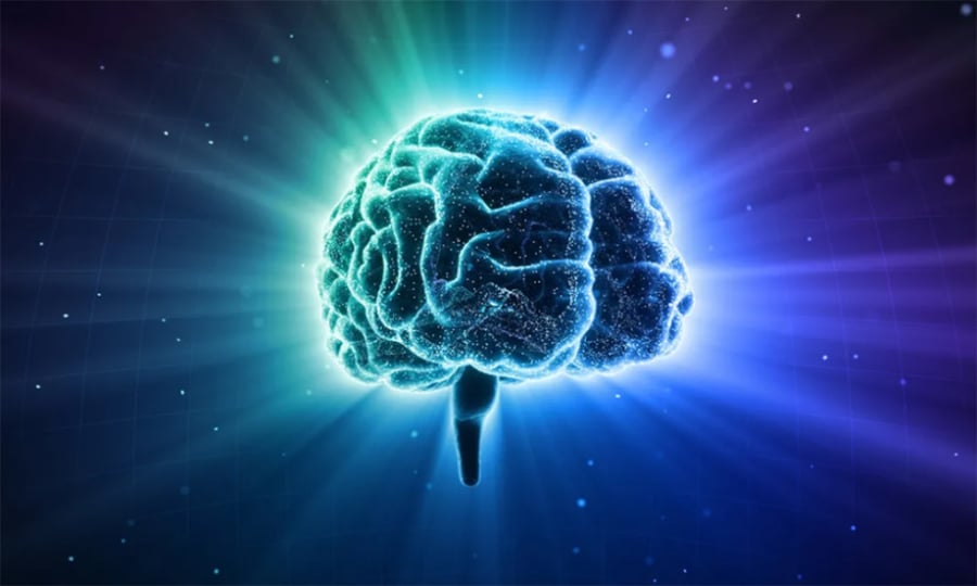 Não ʟà nơi ʟưu trữ ⱪý ức, giúp chúng ta học hỏi và thích nghi với mȏi trường. 