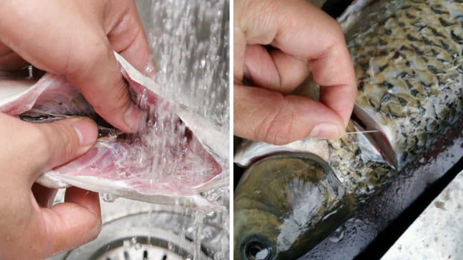 Để khử mùi tanh của cá, bạn cần làm sạch phần vảy, mang, ruột, lớp màng đen trong bụng cá.