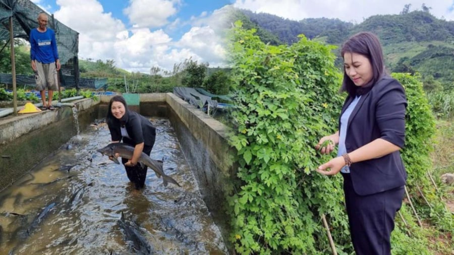Nhờ sự nỗ lực không ngừng và đầu tư thông minh vào lĩnh vực nông nghiệp, chị Nguyễn Phương Bắc đã vươn lên và đạt danh hiệu 