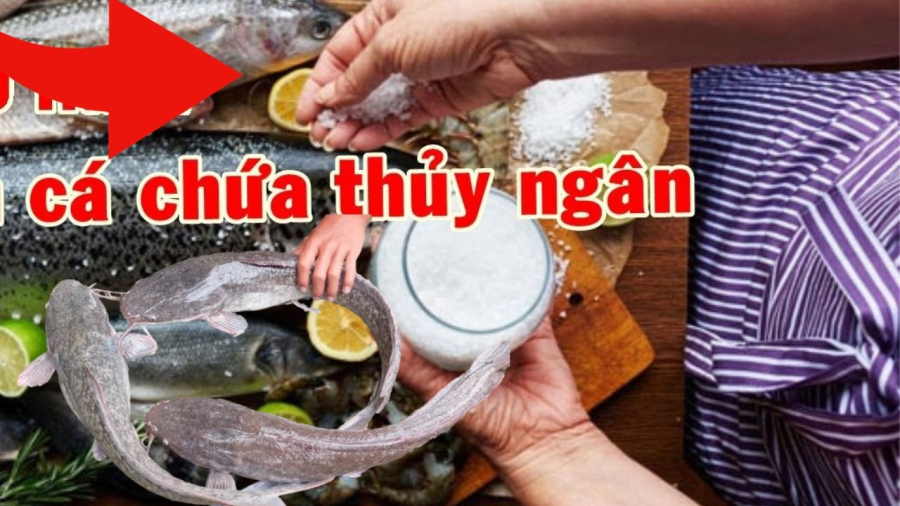 Tránh xa các loài cá 'ngậm' nhiều thủy ngân