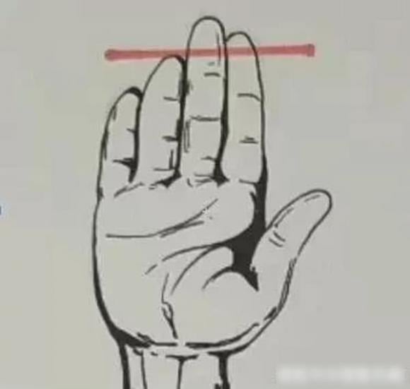 Hãy nhìn vào bàn tay của bạn, nếu ngón trỏ dài hơn ngón đeo nhẫn thì bạn có tướng tay có mệnh lao động chăm chỉ. 