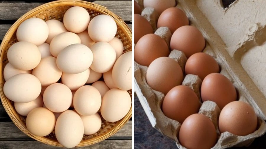 Có nhiều tranh cãi xung quanh việc có nên rửa trứng trước khi bảo quản trứng hay không.
