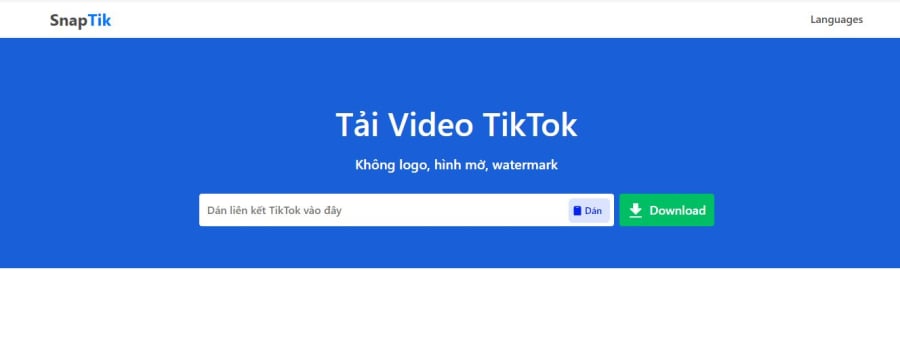 Tải video TikTok không logo với TikTok SpapTik