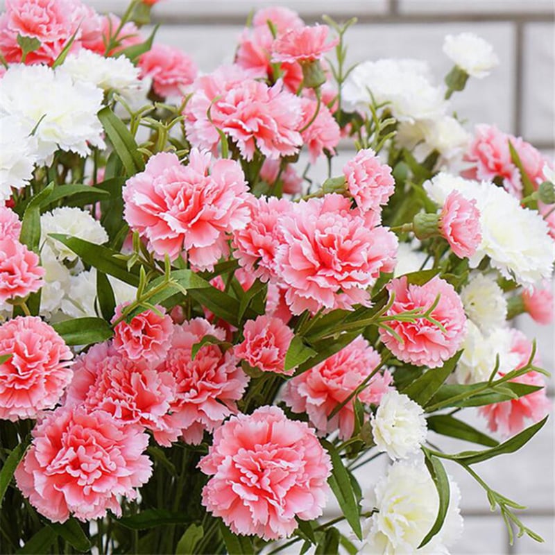Với nét đẹp và ý nghĩa phong phú, hoa cẩm chướng thường được sử dụng để trang trí nhà cửa