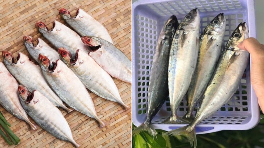 Để khử mùi tanh của cá biển, bạn có thể sử dụng những nguyên liệu có sẵn trong nhà bếp như muối, giấm, chanh.
