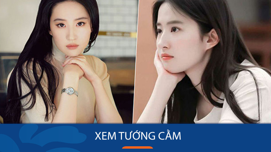 xem-tuong-cam