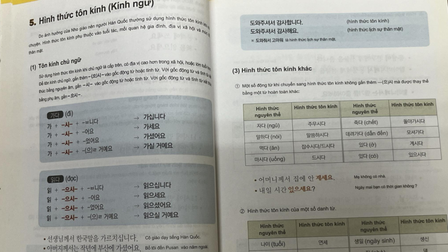 Hiện nay, thị trường dành cho lao động biết tiếng Hàn cũng khá rộng mở.