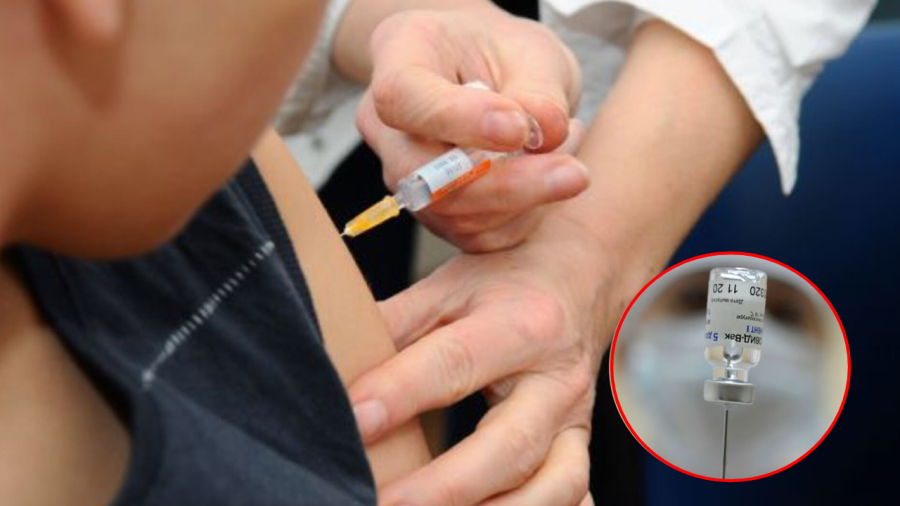 Tiêm vaccine là cách hiệu quả giúp phòng ngừa bệnh bạch hầu.