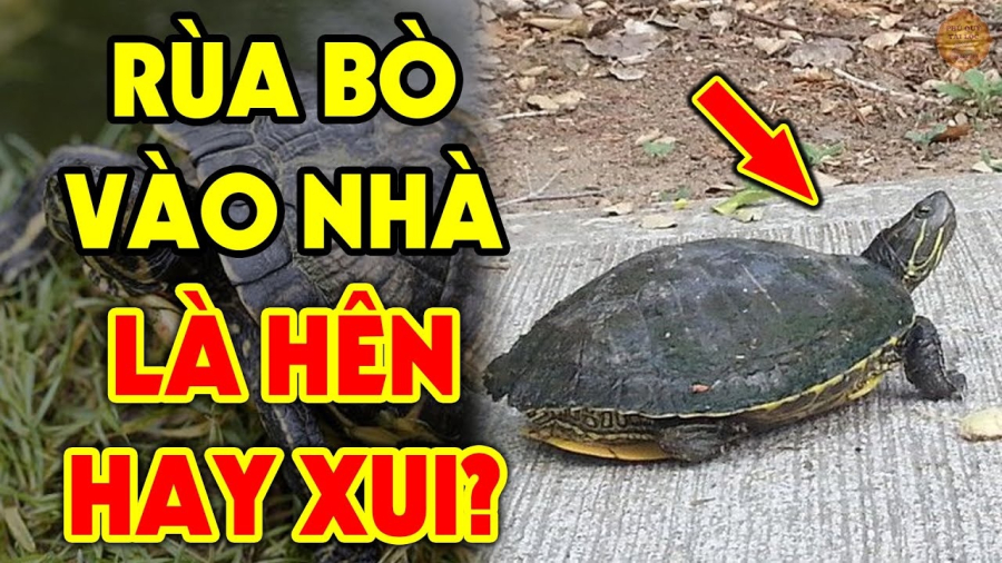 Người xưa ᵭã truyḕn nhau cȃu nói: 