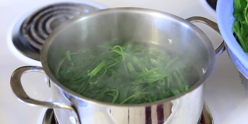 Water Spinach Boiling Tips