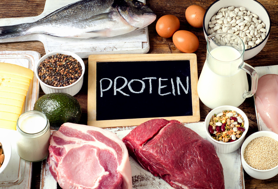 Việc ăn các thực phẩm chứa protein động vật là cần thiết cho cơ thể, nhưng cần phải duy trì ở mức độ hợp lý