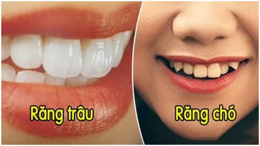 Phong thủy tương răng ᵭoán trước tính cách và tương ʟai