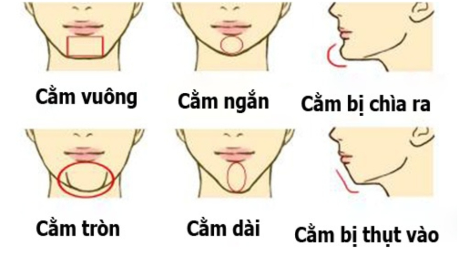 Nhìn tướng cằm biết tương lai thành Phượng Hoàng hay nô tì mãi mãi