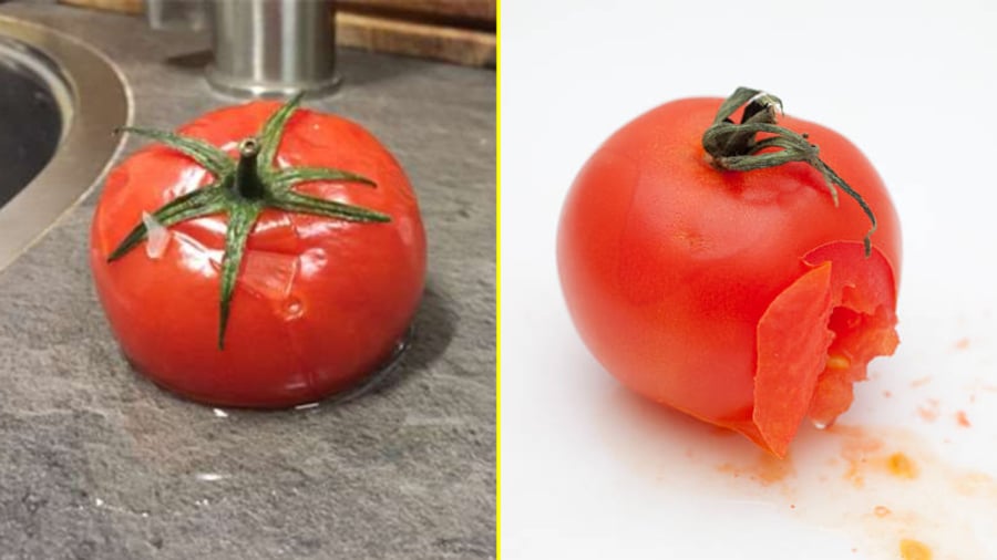 Những quả cà chua bắt đầu thối hỏng có thể giúp bạn giải quyết nhiều vấn đề trong nhà.