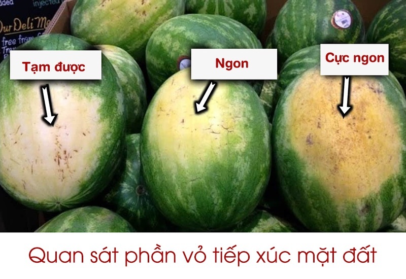 Chọn dưa hấu ngon