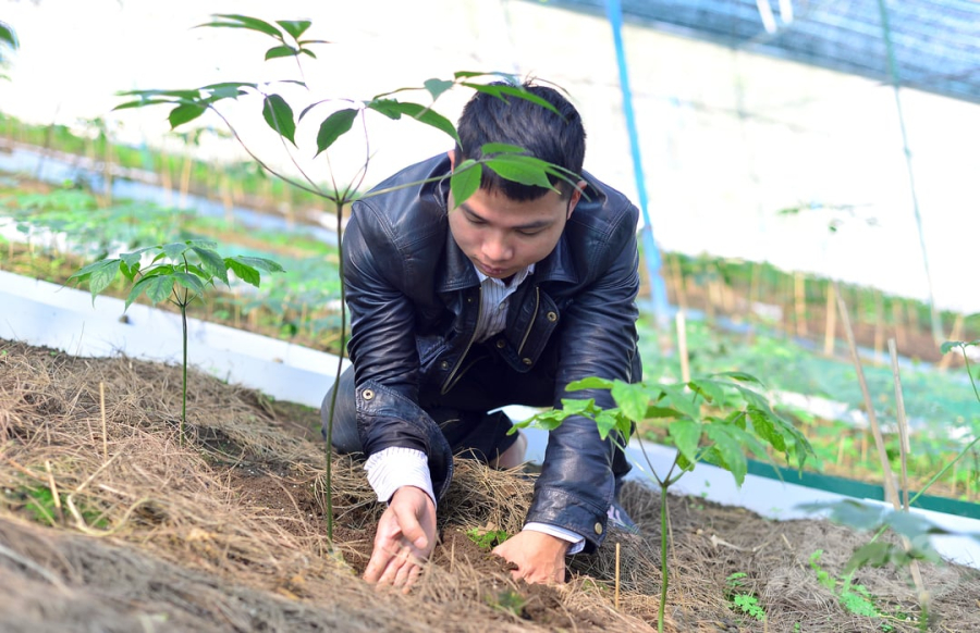 Quyết tâm trồng cây dại, anh nông dân 'hốt bạc tỷ' mỗi năm nhờ cách làm ai cũng bất ngờ