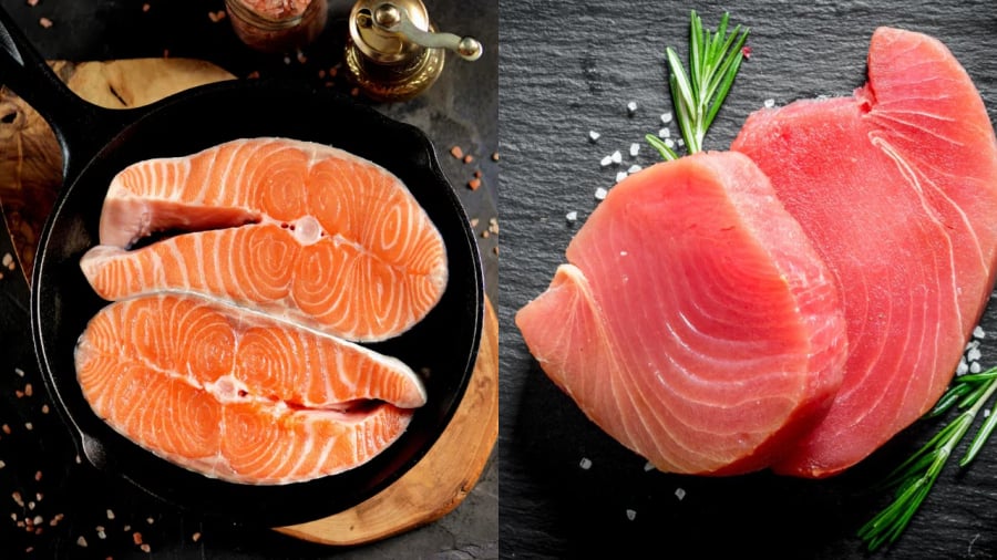 Cá hồi và cá ngừ là những loại cá biển có giá trị dinh dưỡng cao, tốt cho sức khỏe.