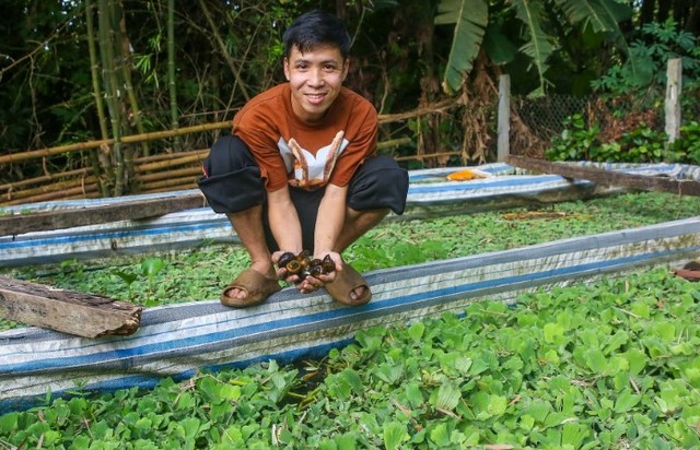 Bỏ việc lương cao, kỹ sư về quê nuôi loài thích ăn xơ mít, thu nửa tỷ mỗi năm