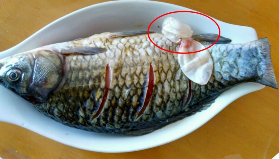 Bộ phận của cá không nên ăn